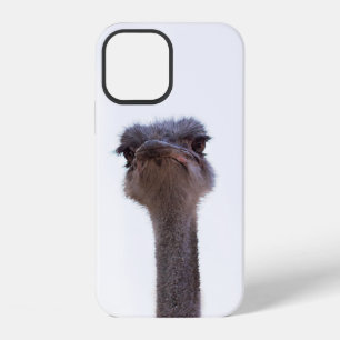 Ostrich Bird iPhone 12 Case