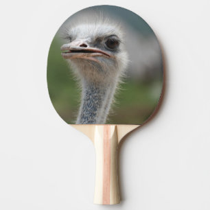 Ostrich Bird Ping Pong Paddle