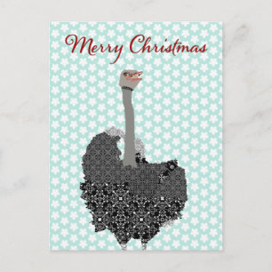 Ostrich Blue Star Postcard Christmas