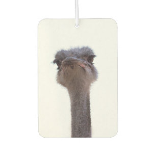 ostrich car air freshener