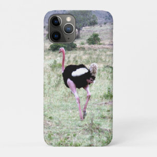 ostrich iPhone 11 pro case