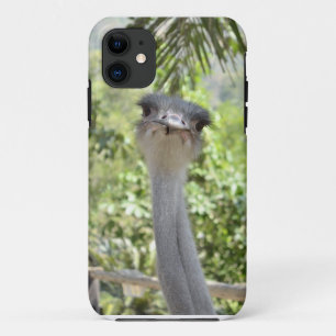Ostrich iPhone 11 Case