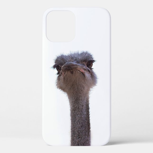 ostrich Case-Mate iPhone case (Back)