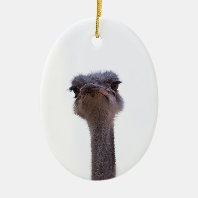 ostrich ceramic ornament (Front)