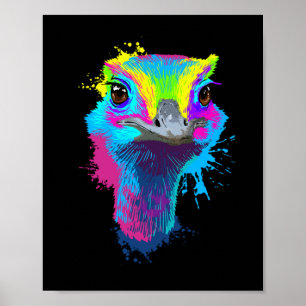 Ostrich Colourful Bird Lover Ostriches Poster