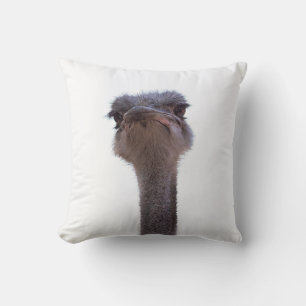 ostrich cushion
