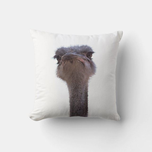 ostrich cushion (Front)