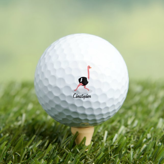 Ostrich Design Golf Balls (Insitu Tee)