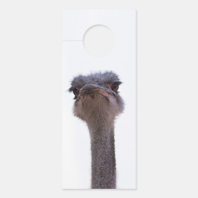ostrich door hanger (Front)