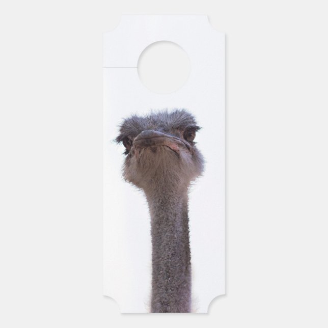 ostrich door hanger (Front)