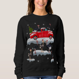 Ostrich Driving Christmas Tree Red Truck Ostrich C Sweatshirt