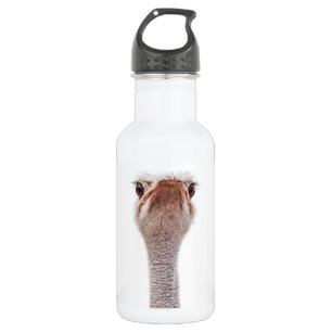 Ostrich Face 532 Ml Water Bottle