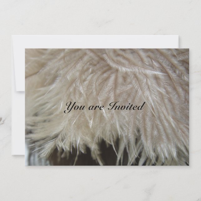 Ostrich Feathers Invitation (Front)