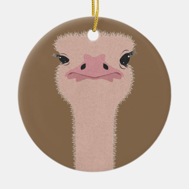 Ostrich funny face ceramic tree decoration (Front)