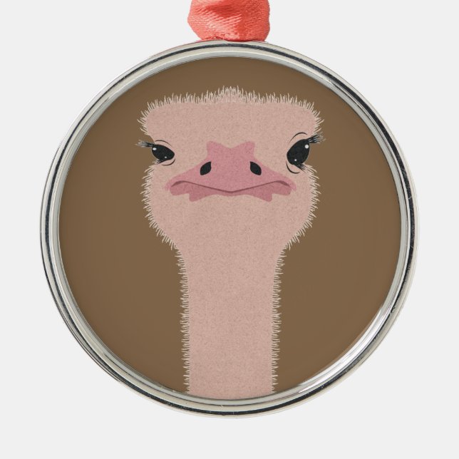Ostrich funny face metal ornament (Front)