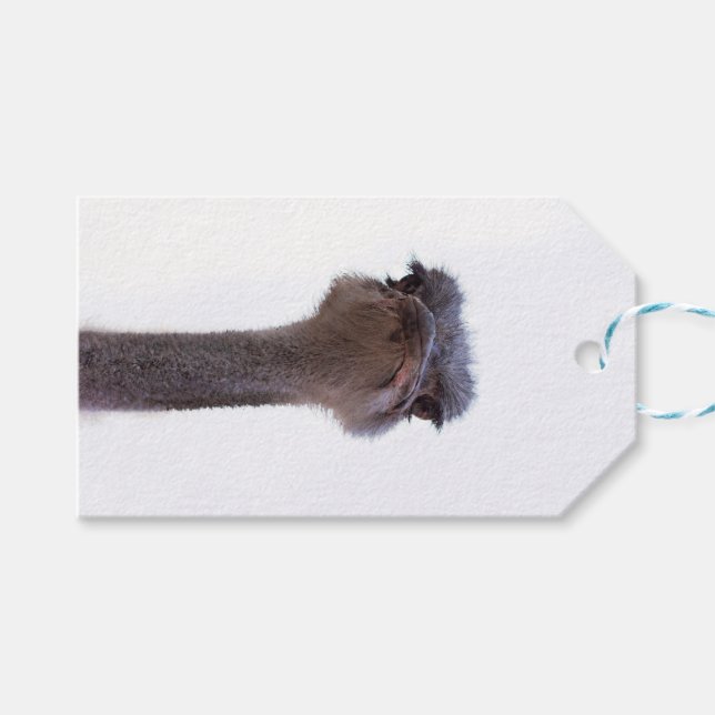 ostrich gift tags (Front (Horizontal))
