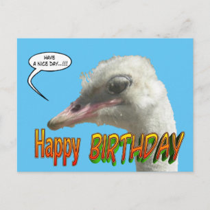 Ostrich Happy Birthday Customisable Postcard