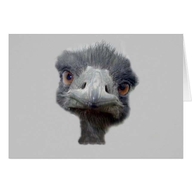Ostrich head (Front Horizontal)