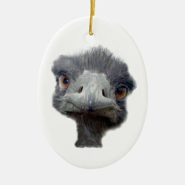 Ostrich head ceramic tree decoration (Front)