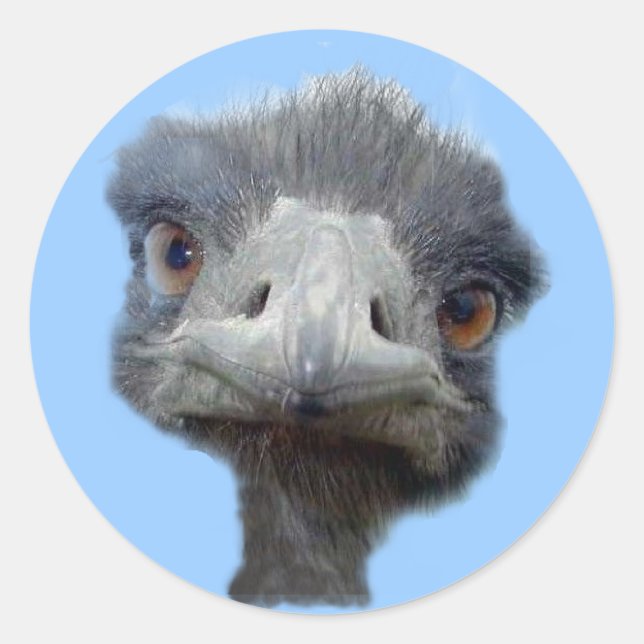 Ostrich head classic round sticker (Front)