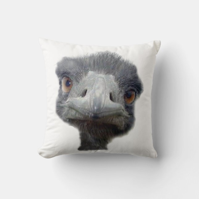 Ostrich head cushion (Front)