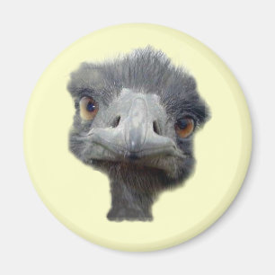 Ostrich head magnet