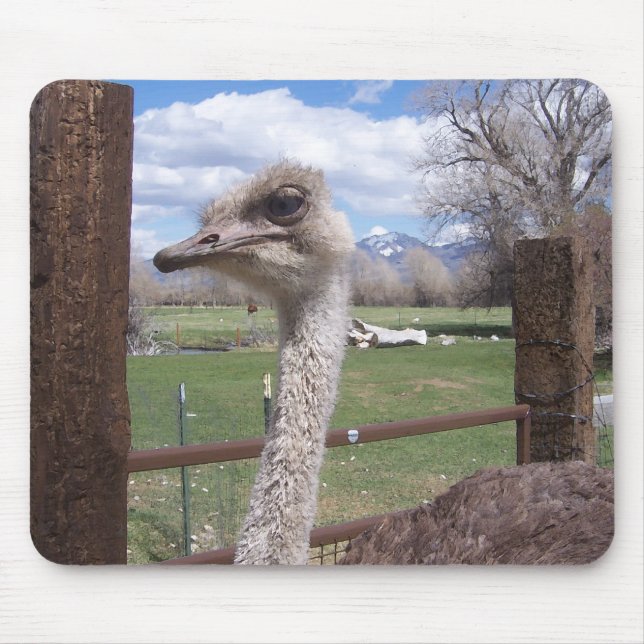 Ostrich Head Mouse Pad (Front)
