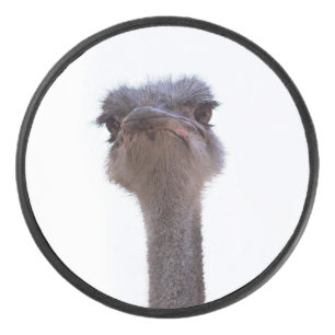 ostrich hockey puck
