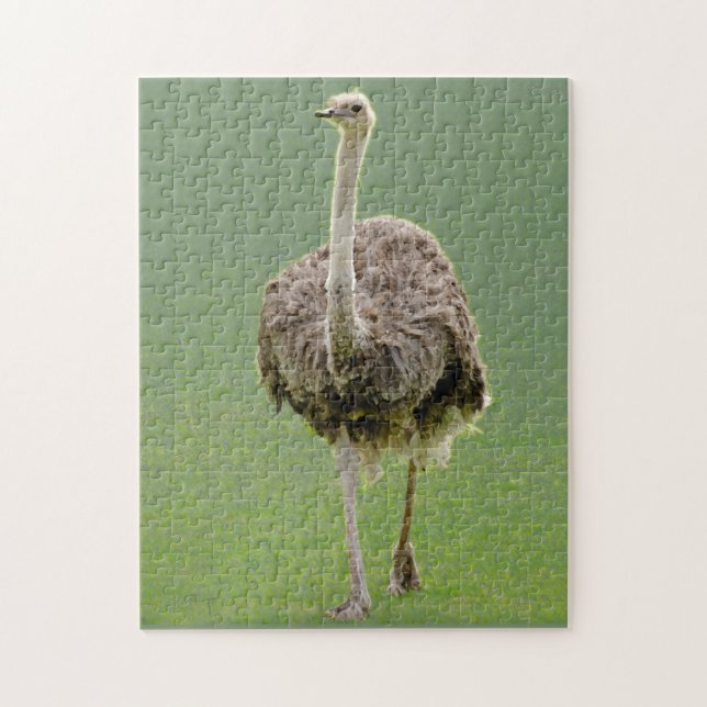Ostrich Jigsaw Puzzle (Vertical)