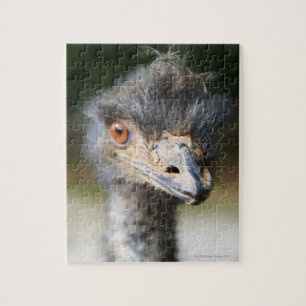 Ostrich Jigsaw Puzzle