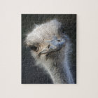 Ostrich