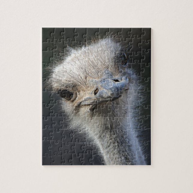 Ostrich Jigsaw Puzzle (Vertical)