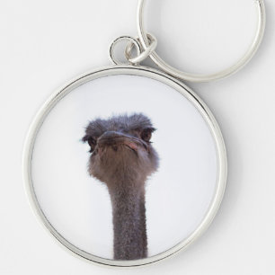 ostrich key ring
