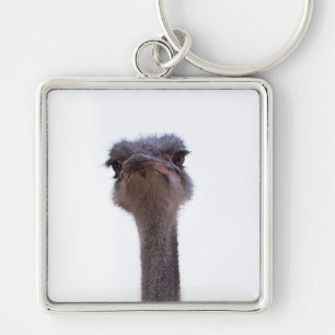 ostrich key ring
