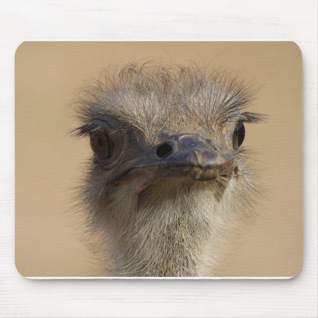 Ostrich Mouse Pad (Front)