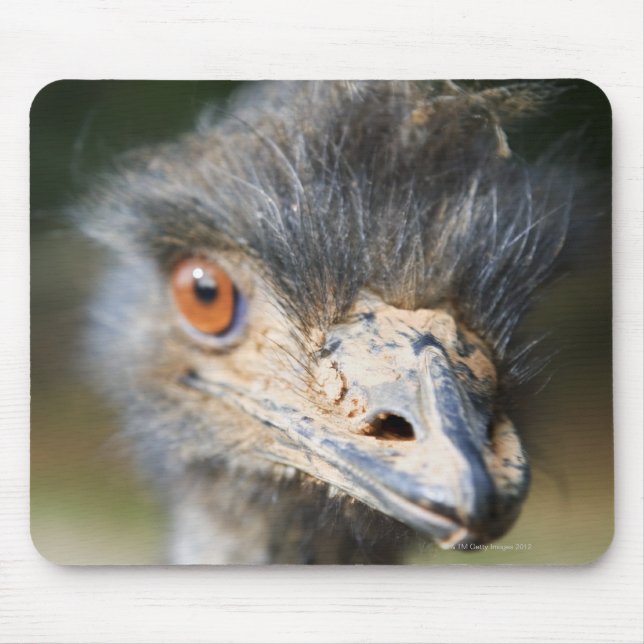 Ostrich Mouse Pad (Front)