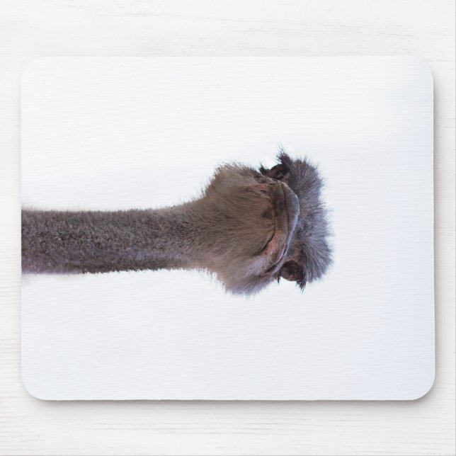 ostrich mouse pad (Front)