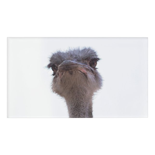 ostrich name tag (Front)