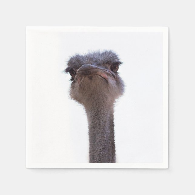 ostrich napkin (Front)