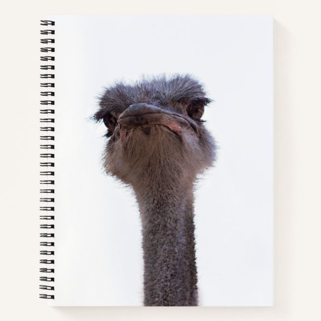 ostrich notebook (Front)