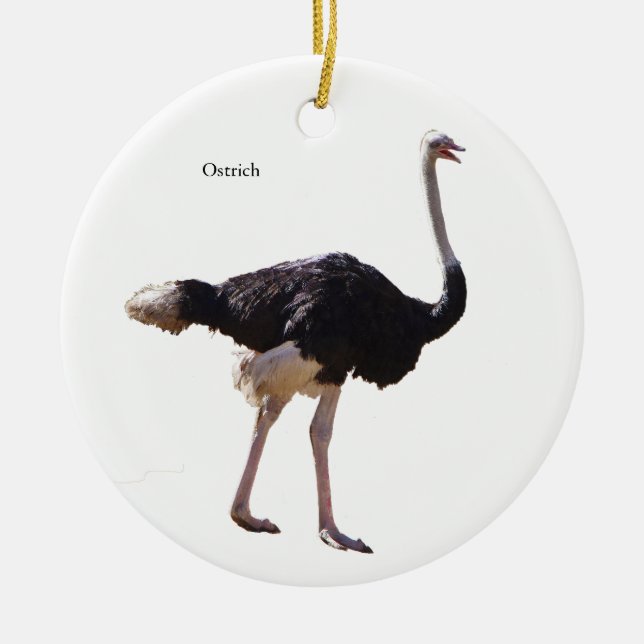 Ostrich ornament (Front)