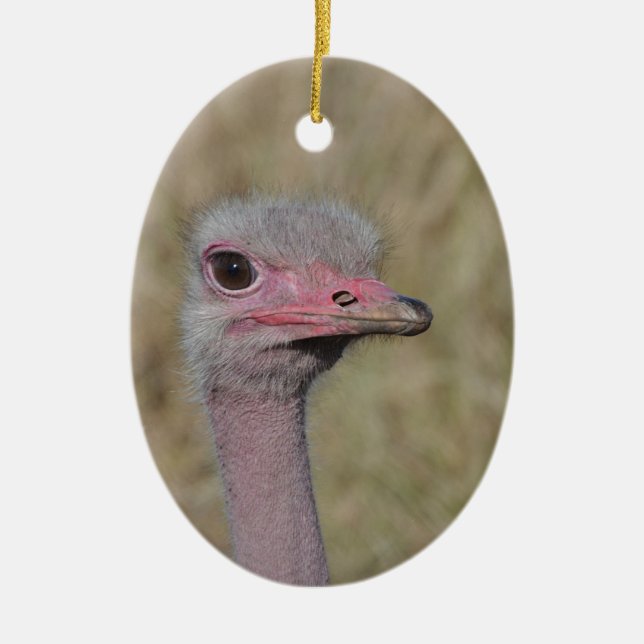 Ostrich Ornament (Front)