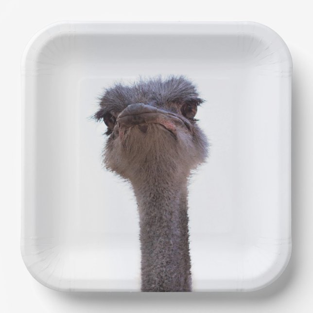 ostrich paper plate (Front)