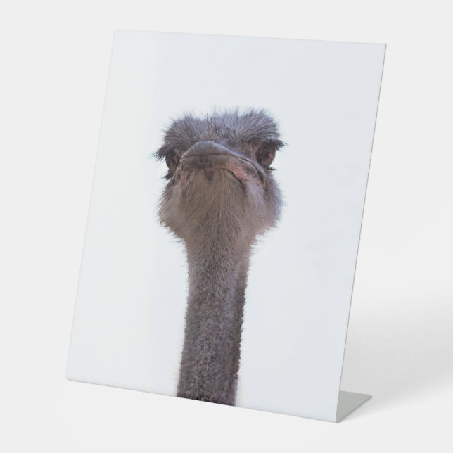 ostrich pedestal sign (Front)