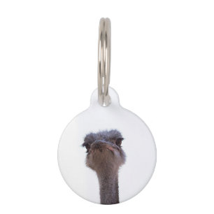 ostrich pet tag