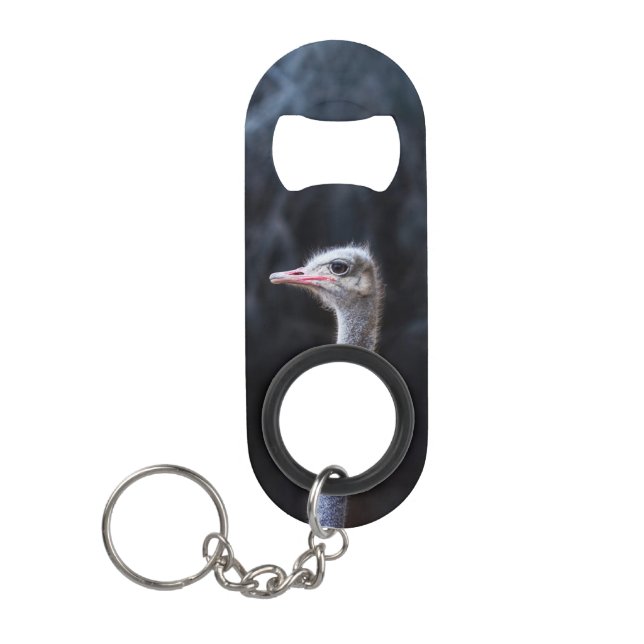 Ostrich Photography (Front)
