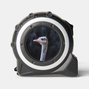 Ostrich Photography 1