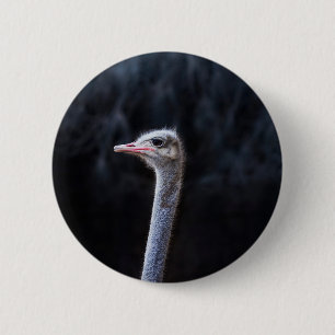 Ostrich Photography 6 Cm Round Badge