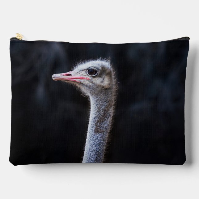 Ostrich Photography Accessory Pouch (Front)