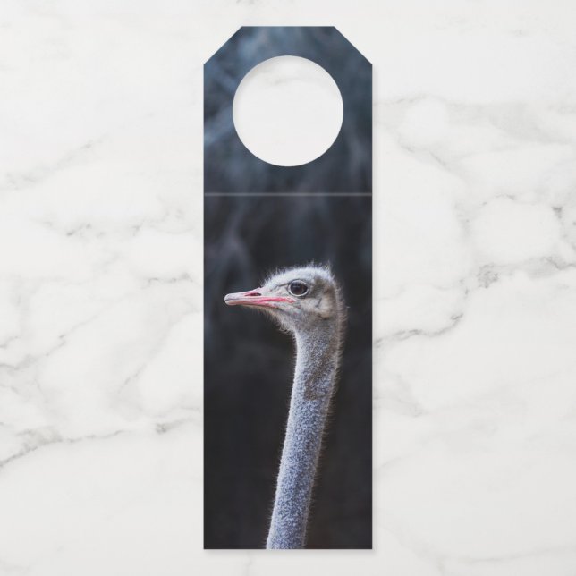 Ostrich Photography Bottle Tag (Front)